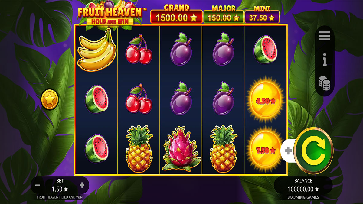 Fruit Heaven Hold and Win screenshot