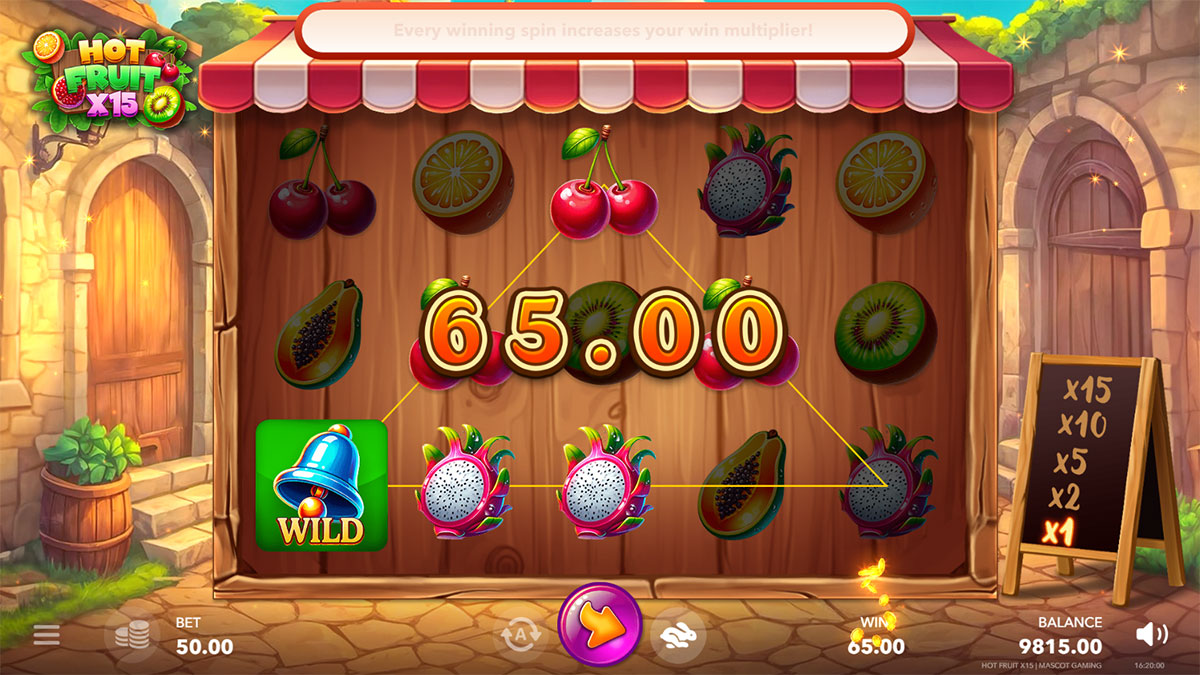Hot Fruit x15 screenshot