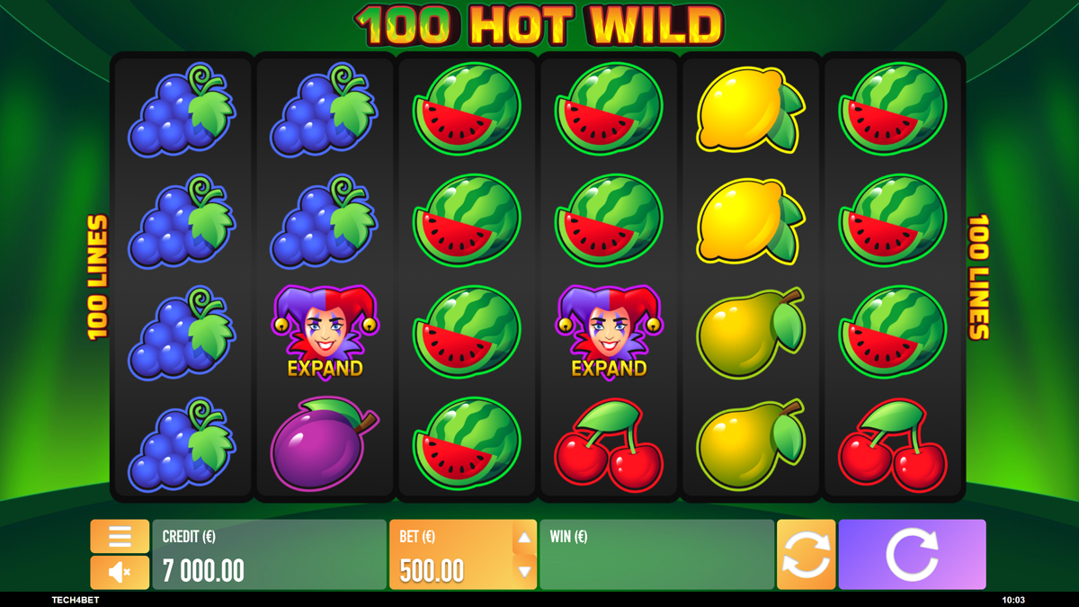 Hot Wild 100 screenshot