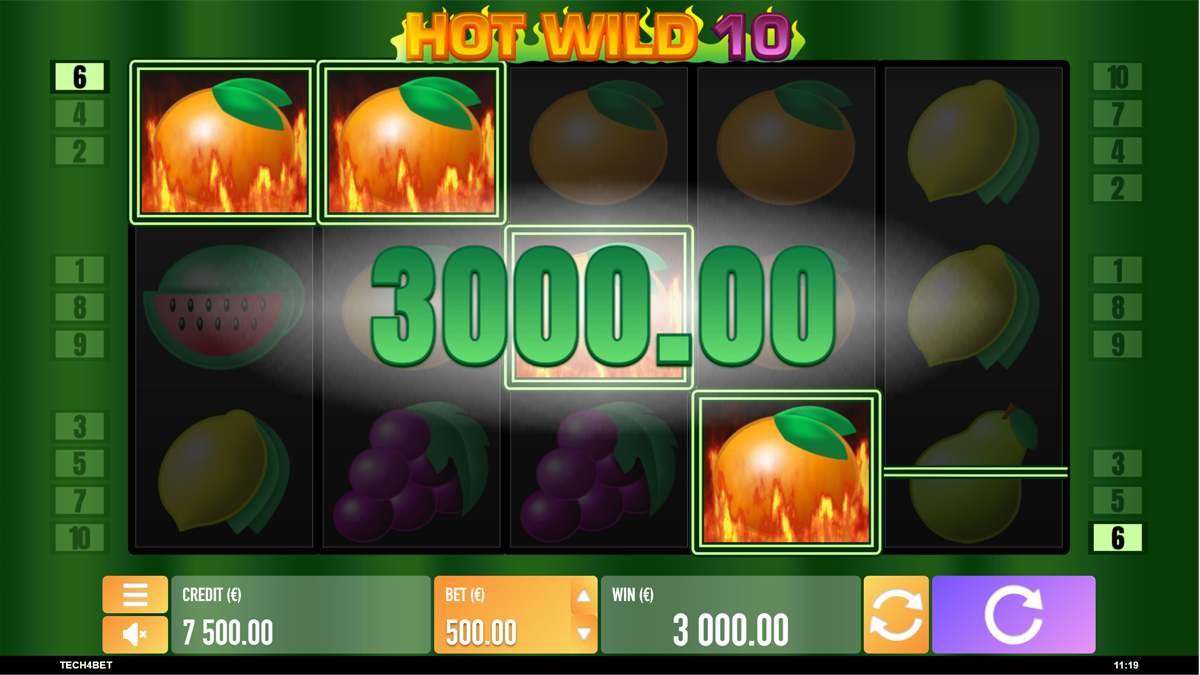 Hot Wild 10 screenshot