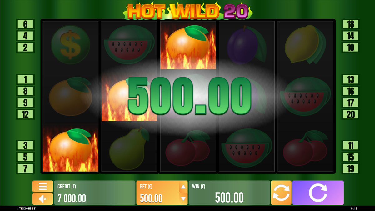 Hot Wild 20 screenshot
