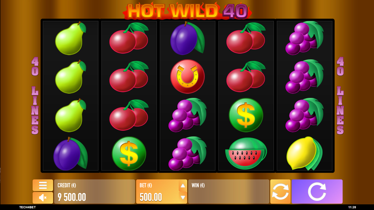 Hot Wild 40 screenshot