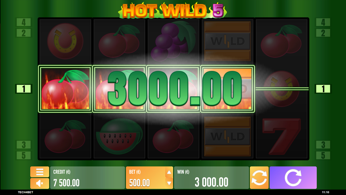 Hot Wild 5 screenshot