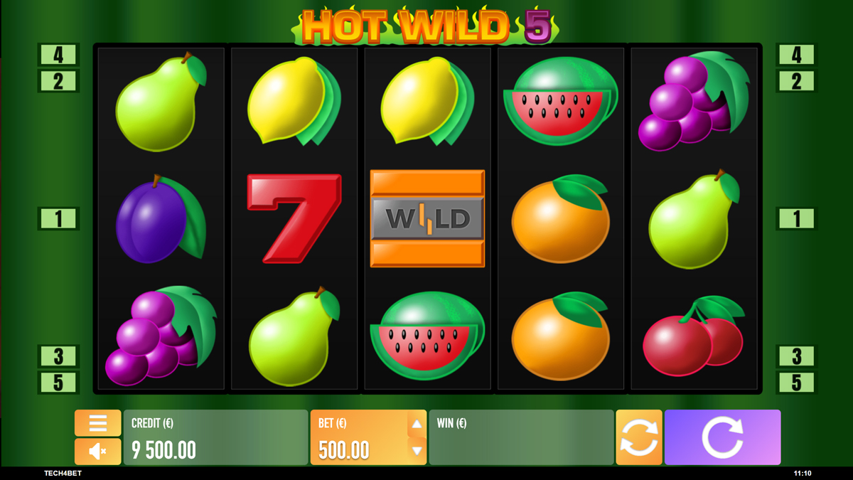 Hot Wild 5 screenshot