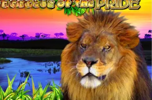 King of the Pride