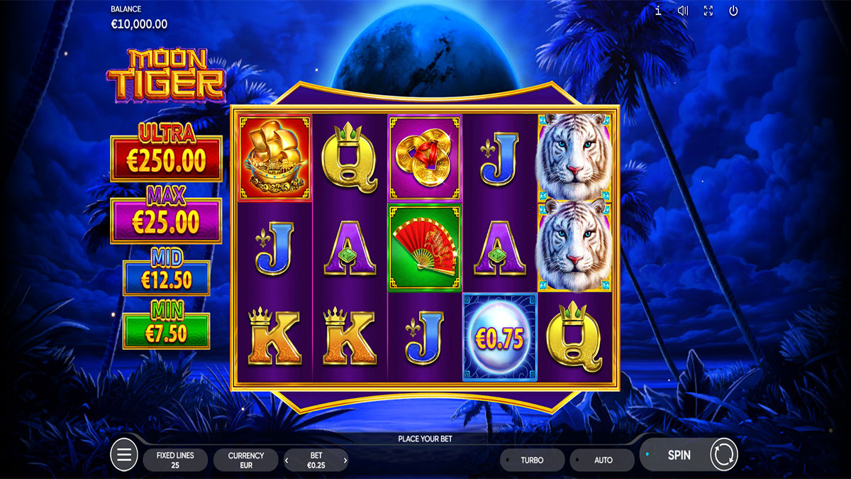 Moon Tiger screenshot
