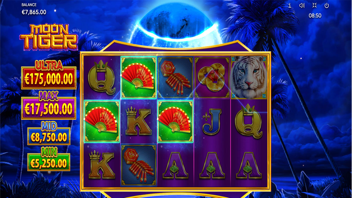 Moon Tiger screenshot