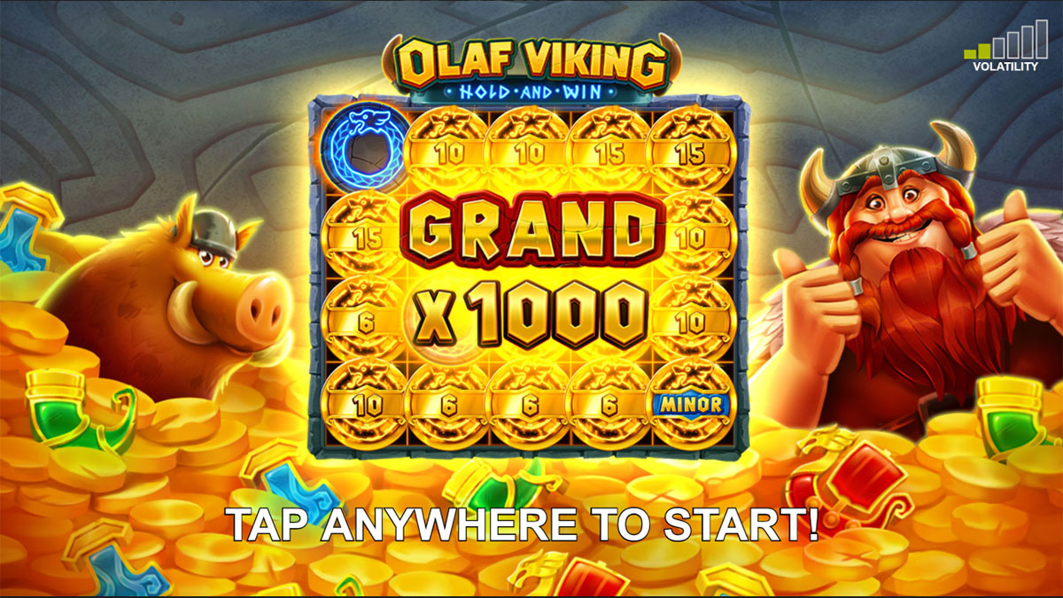 Olaf Viking screenshot