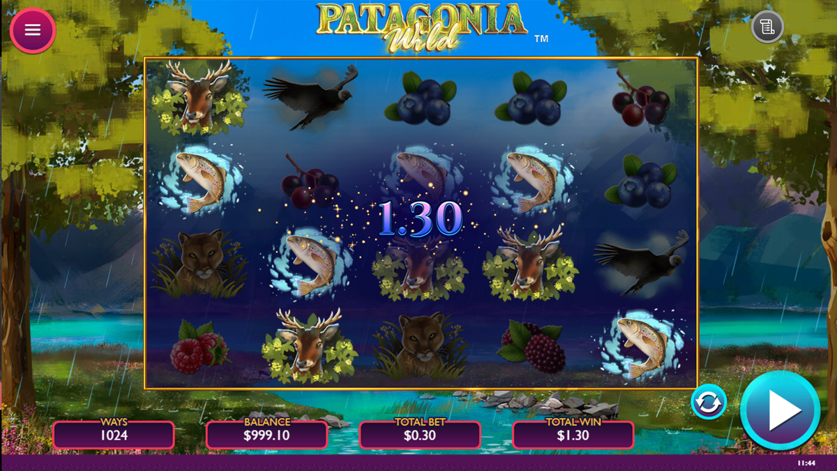 Patagonia screenshot