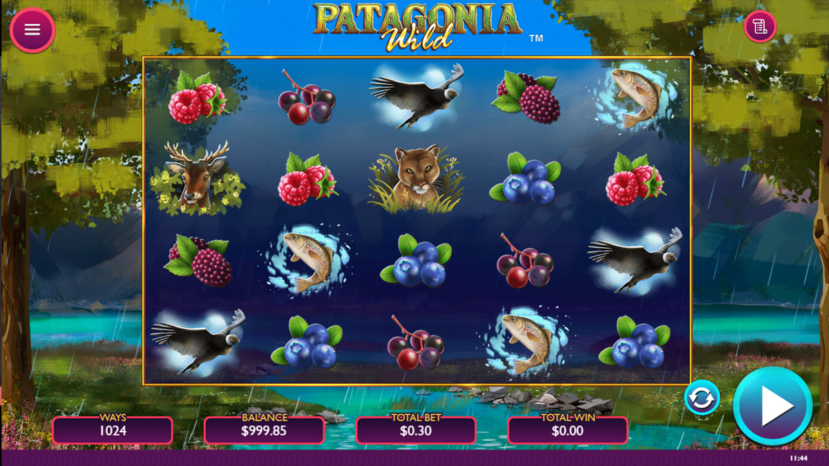 Patagonia screenshot