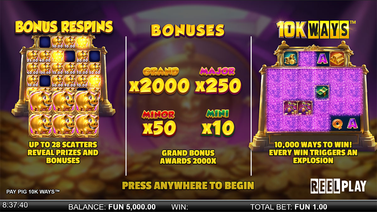 Pay Pig screenshot