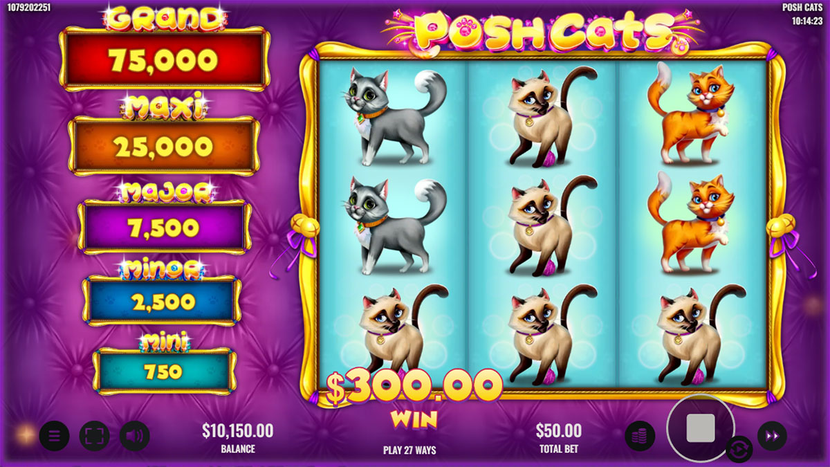 Posh Cats screenshot