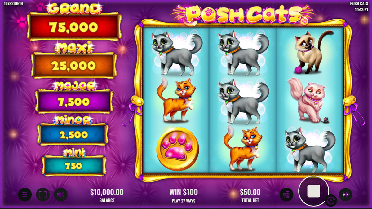 Posh Cats screenshot