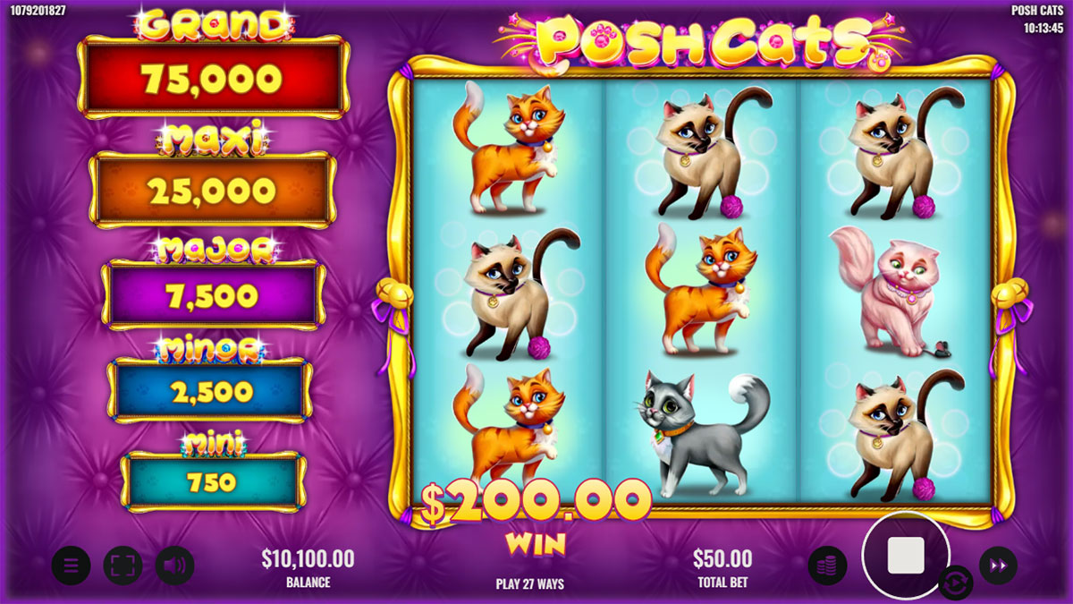 Posh Cats screenshot