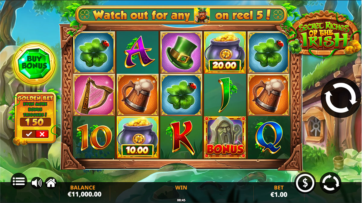 Secret Riches of the Irish screenshot