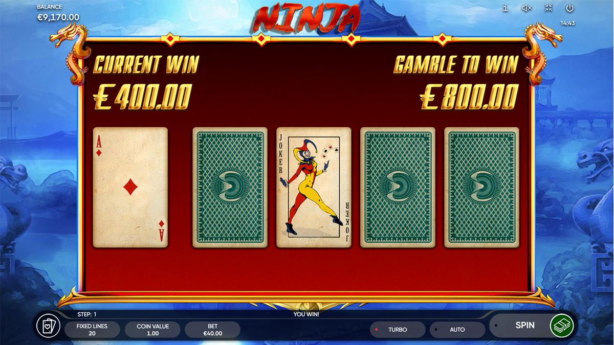 The Ninja screenshot