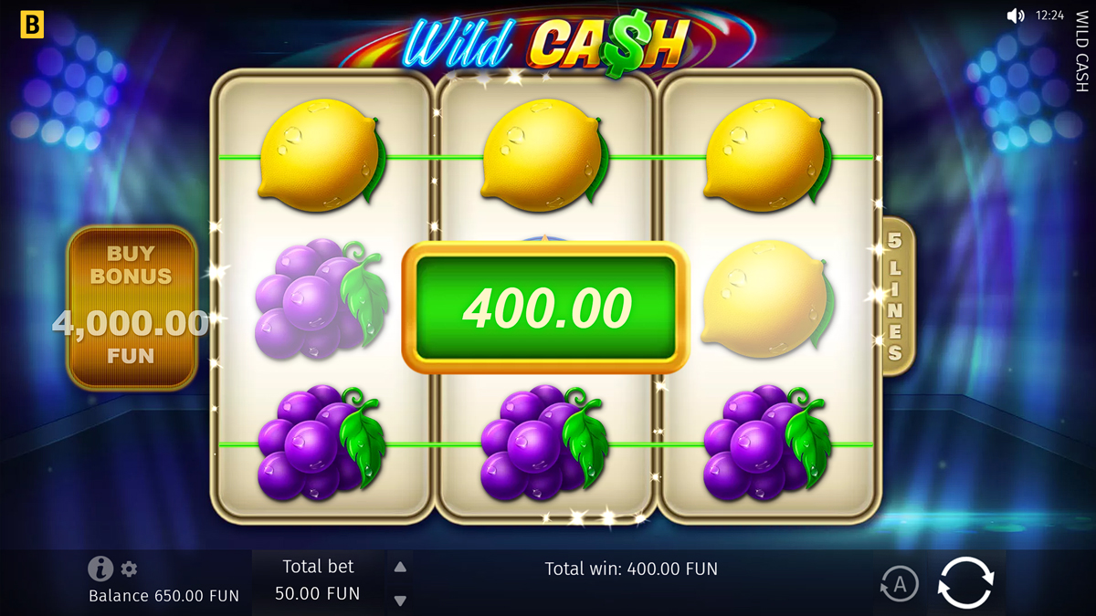 Wild Cash (BGAMING) screenshot