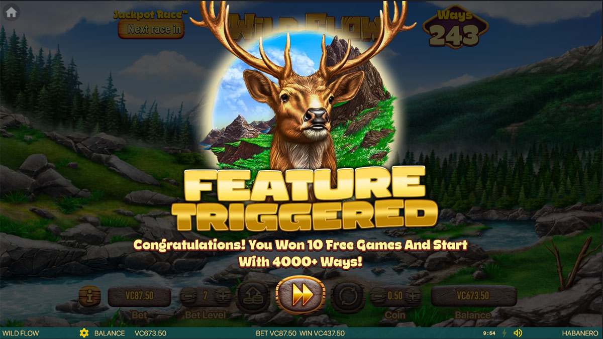 Wild Flow screenshot