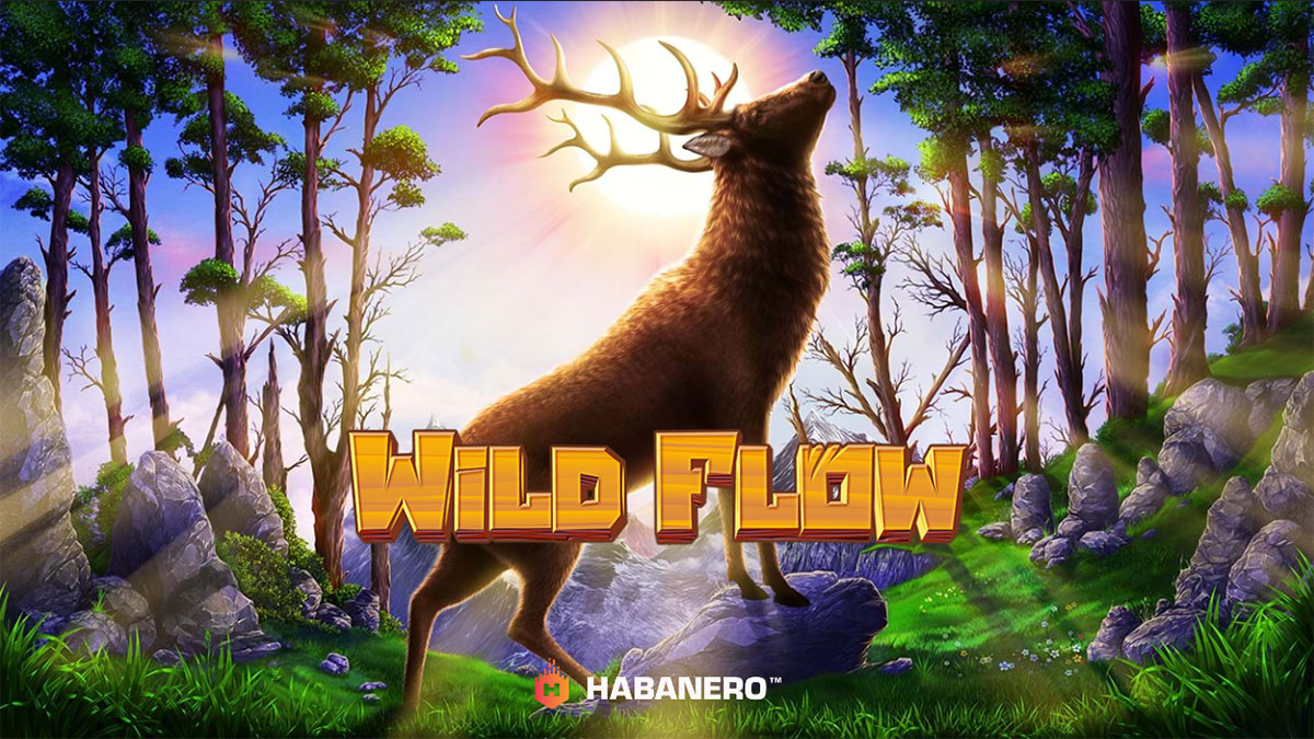 Wild Flow screenshot