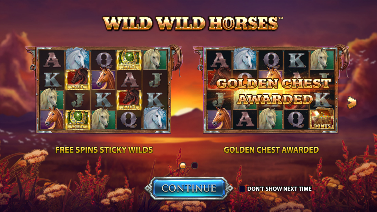 Wild Wild Horses screenshot