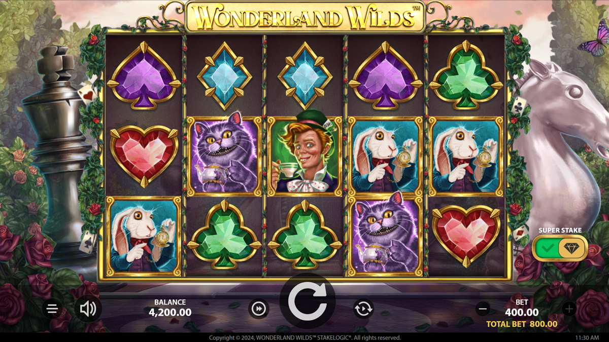Wonderland Wilds screenshot