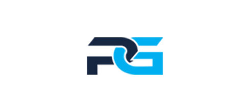 Platin Gaming logo